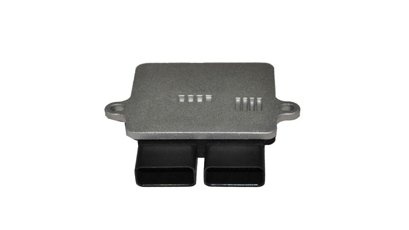 BEYİN (BAYBERRY125)